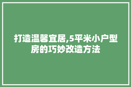 打造温馨宜居,5平米小户型房的巧妙改造方法