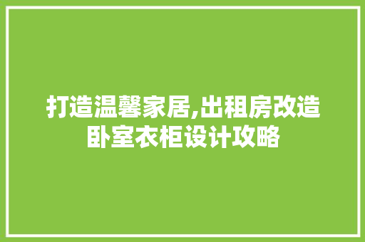 打造温馨家居,出租房改造卧室衣柜设计攻略