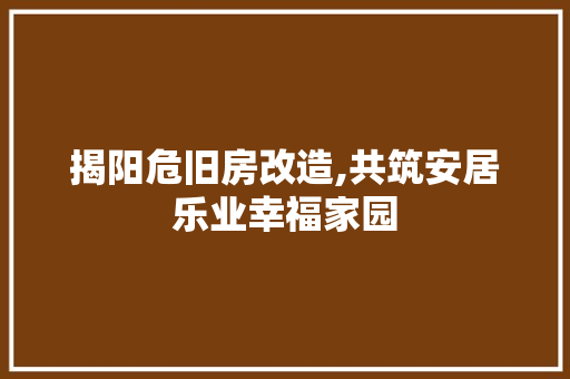 揭阳危旧房改造,共筑安居乐业幸福家园