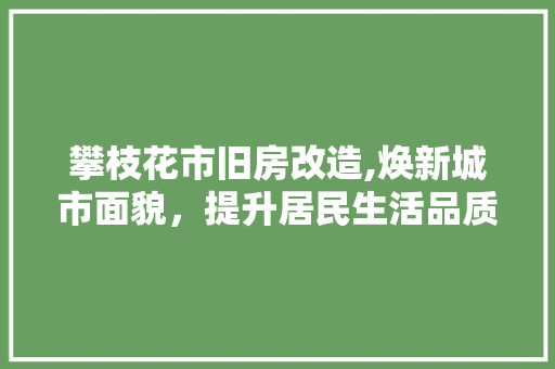攀枝花市旧房改造,焕新城市面貌，提升居民生活品质