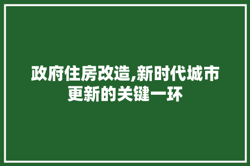政府住房改造,新时代城市更新的关键一环