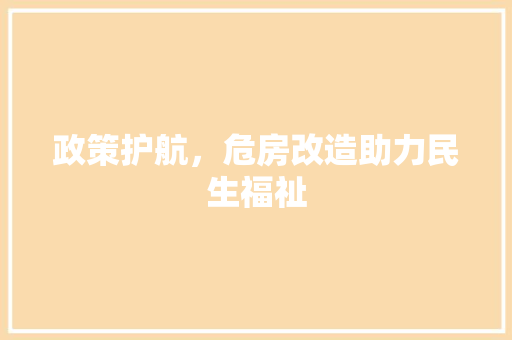 政策护航，危房改造助力民生福祉