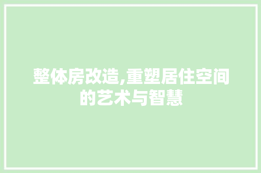 整体房改造,重塑居住空间的艺术与智慧