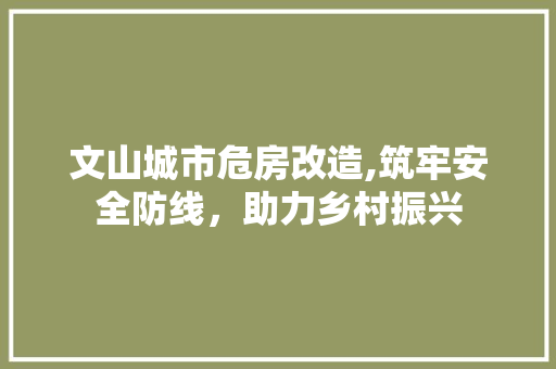文山城市危房改造,筑牢安全防线，助力乡村振兴
