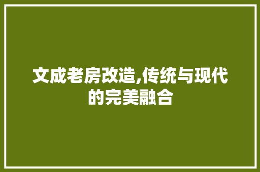 文成老房改造,传统与现代的完美融合