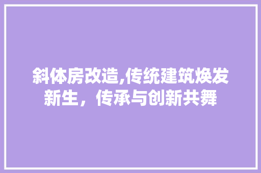斜体房改造,传统建筑焕发新生，传承与创新共舞