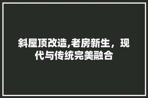斜屋顶改造,老房新生，现代与传统完美融合