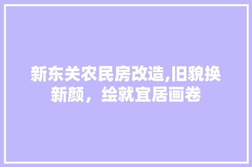 新东关农民房改造,旧貌换新颜，绘就宜居画卷