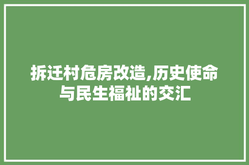 拆迁村危房改造,历史使命与民生福祉的交汇