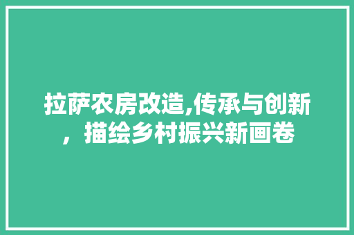 拉萨农房改造,传承与创新，描绘乡村振兴新画卷