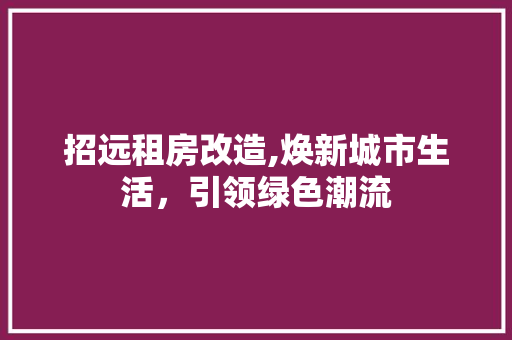 招远租房改造,焕新城市生活，引领绿色潮流
