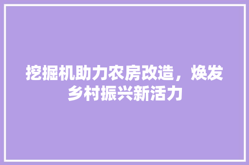挖掘机助力农房改造，焕发乡村振兴新活力