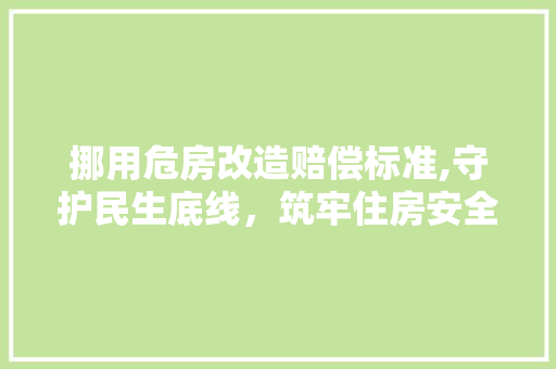 挪用危房改造赔偿标准,守护民生底线，筑牢住房安全防线