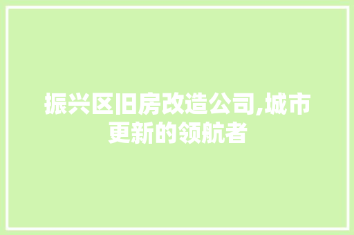 振兴区旧房改造公司,城市更新的领航者