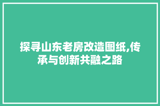 探寻山东老房改造图纸,传承与创新共融之路