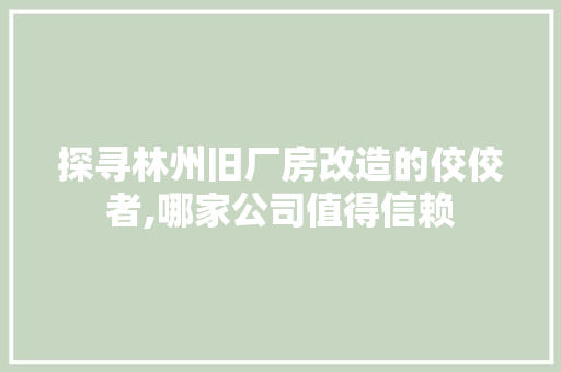 探寻林州旧厂房改造的佼佼者,哪家公司值得信赖