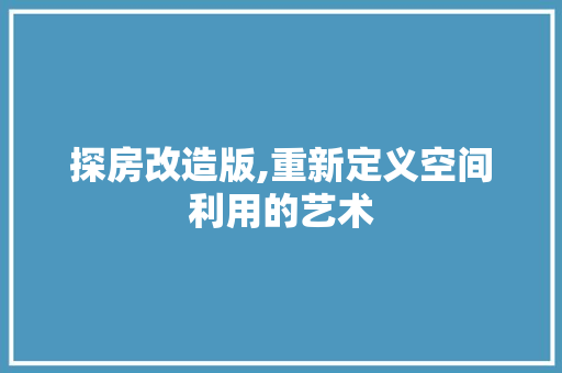 探房改造版,重新定义空间利用的艺术