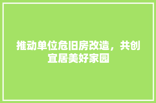 推动单位危旧房改造，共创宜居美好家园