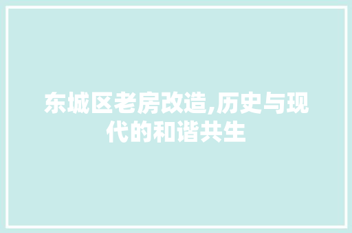 东城区老房改造,历史与现代的和谐共生