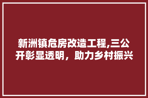 新洲镇危房改造工程,三公开彰显透明，助力乡村振兴