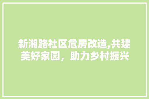 新湘路社区危房改造,共建美好家园，助力乡村振兴