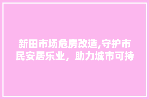 新田市场危房改造,守护市民安居乐业，助力城市可持续发展