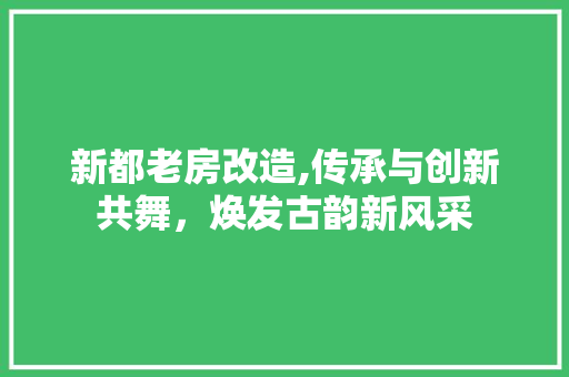 新都老房改造,传承与创新共舞，焕发古韵新风采