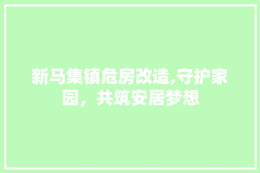 新马集镇危房改造,守护家园，共筑安居梦想
