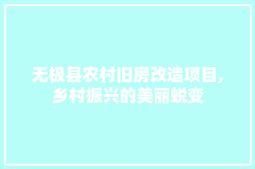无极县农村旧房改造项目,乡村振兴的美丽蜕变