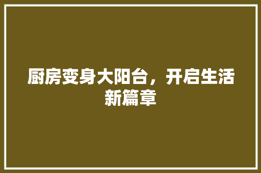 厨房变身大阳台，开启生活新篇章