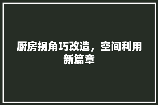 厨房拐角巧改造，空间利用新篇章