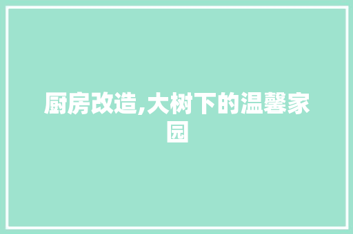 厨房改造,大树下的温馨家园