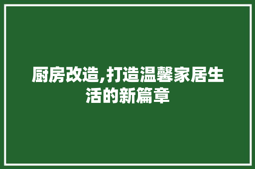 厨房改造,打造温馨家居生活的新篇章