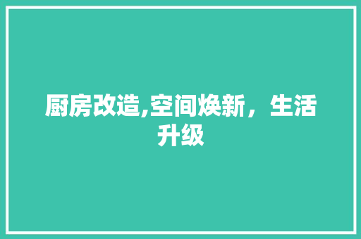 厨房改造,空间焕新，生活升级