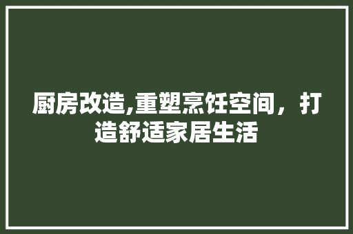 厨房改造,重塑烹饪空间，打造舒适家居生活