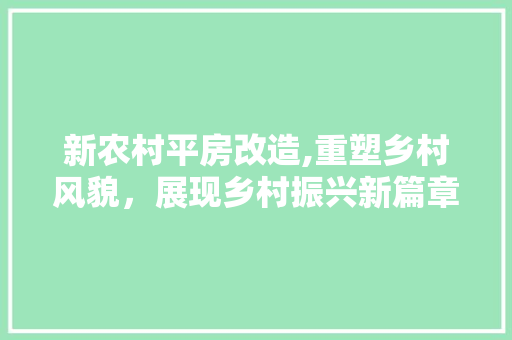 新农村平房改造,重塑乡村风貌，展现乡村振兴新篇章