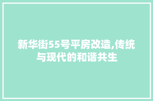 新华街55号平房改造,传统与现代的和谐共生