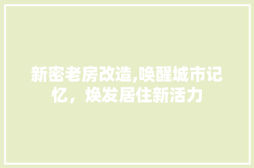 新密老房改造,唤醒城市记忆，焕发居住新活力