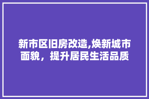新市区旧房改造,焕新城市面貌，提升居民生活品质