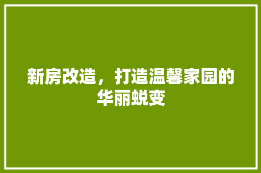新房改造，打造温馨家园的华丽蜕变
