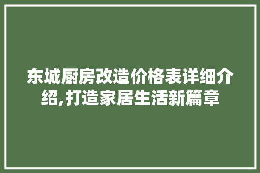 东城厨房改造价格表详细介绍,打造家居生活新篇章