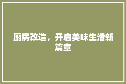 厨房改造，开启美味生活新篇章