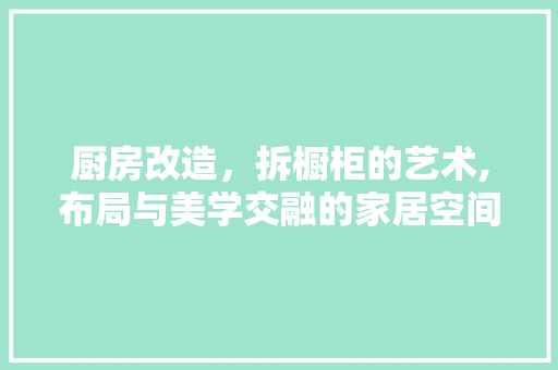 厨房改造，拆橱柜的艺术,布局与美学交融的家居空间升级
