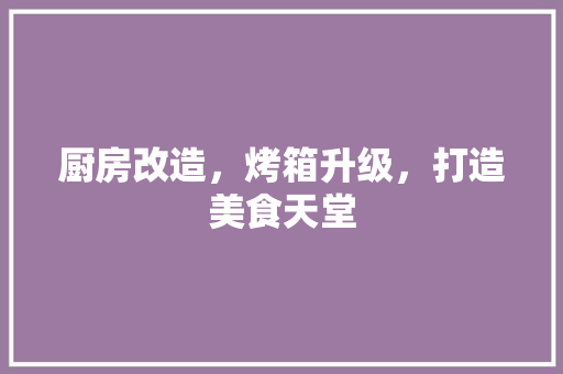 厨房改造，烤箱升级，打造美食天堂
