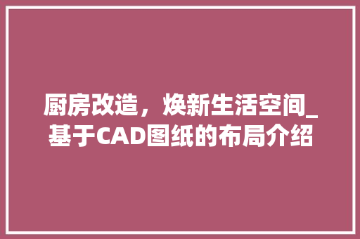 厨房改造，焕新生活空间_基于CAD图纸的布局介绍