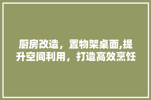 厨房改造，置物架桌面,提升空间利用，打造高效烹饪环境