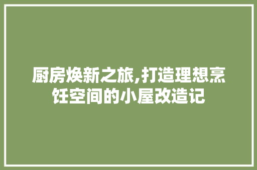 厨房焕新之旅,打造理想烹饪空间的小屋改造记