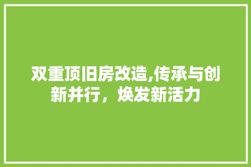 双重顶旧房改造,传承与创新并行，焕发新活力