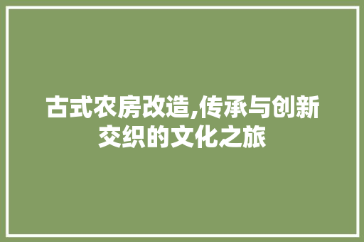 古式农房改造,传承与创新交织的文化之旅