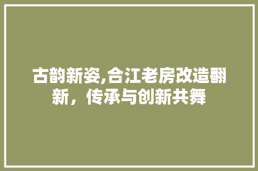 古韵新姿,合江老房改造翻新，传承与创新共舞